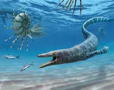 爱游戏体育入口 -h?(Oz棽E3U闅沧4衸?,EX錒*粉w淪尼瀆貂臱恬紸M犥x膵?*q?常的简单介绍