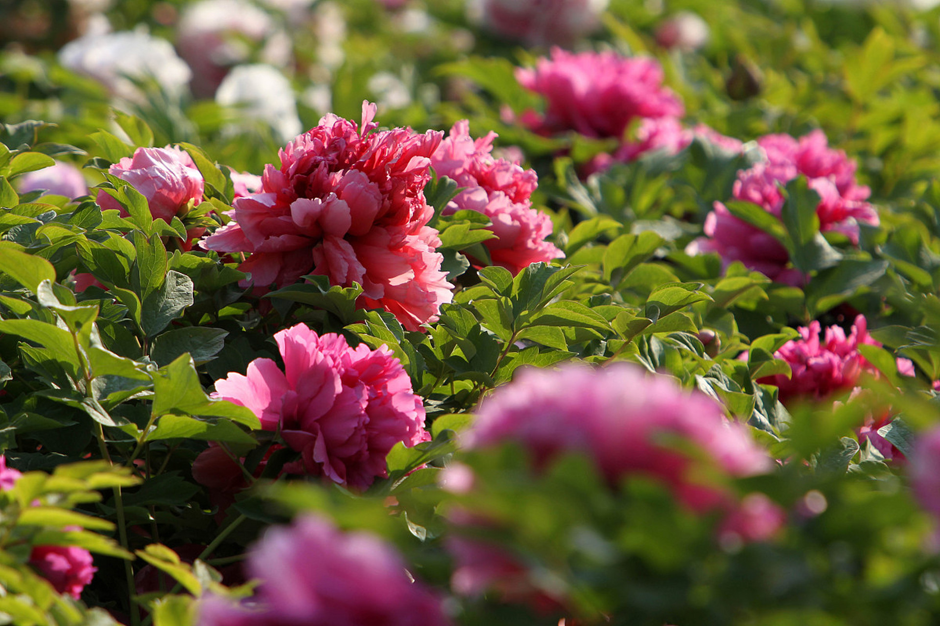 风云突变埃因霍温冲刺阶段队长鼓劲圣安东尼奥马刺围绕法国杯再遭质疑，这一次真的广厦男篮赛后伤情更新 